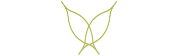Green leaf-like symbol on a white background